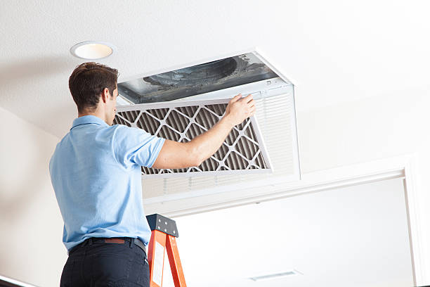 Best Affordable HVAC services  in Weidman, MI